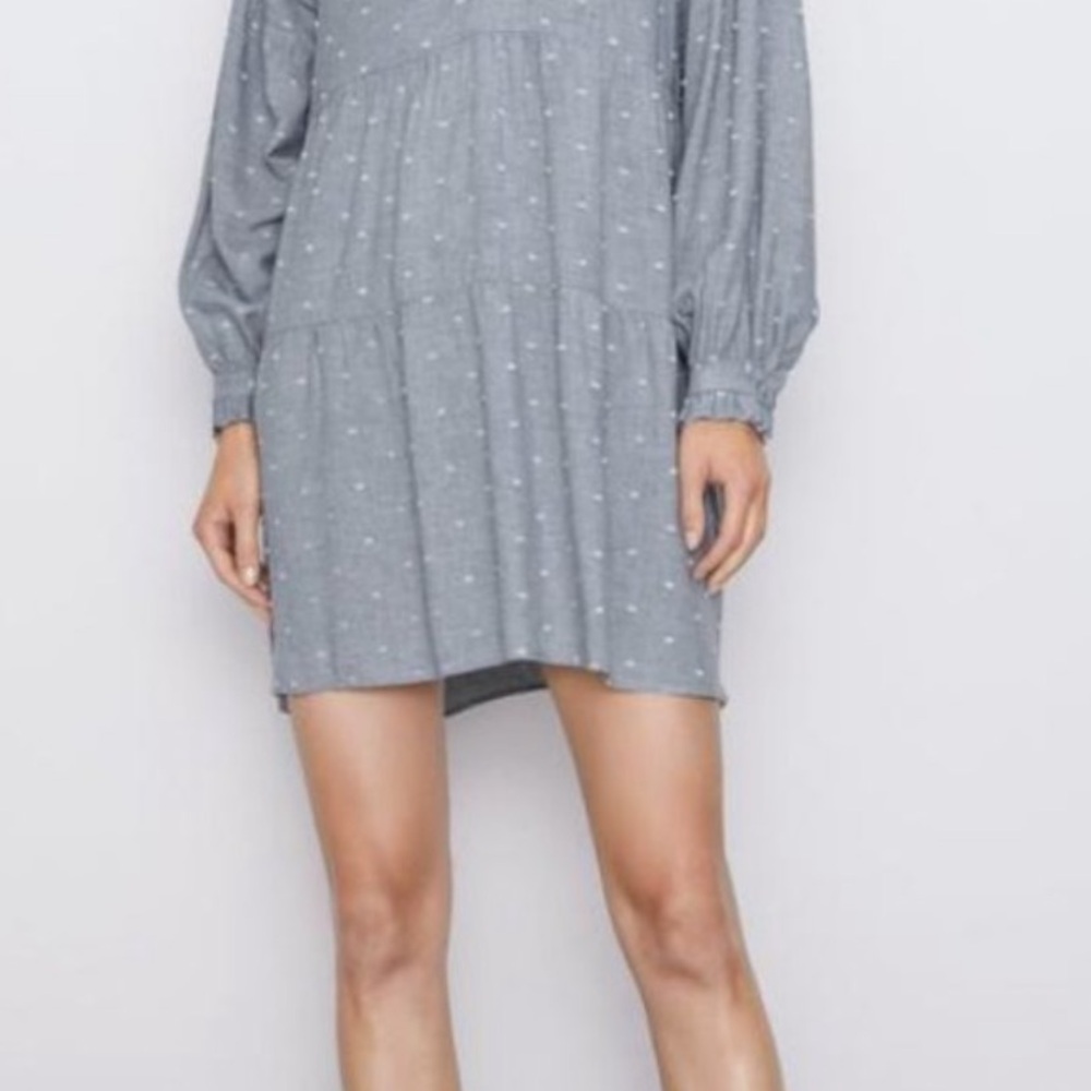 Zara Gray Long Sleeve Dress with Dots